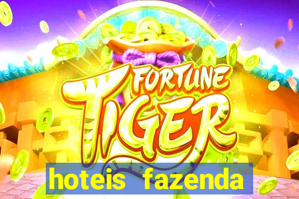 hoteis fazenda porto velho